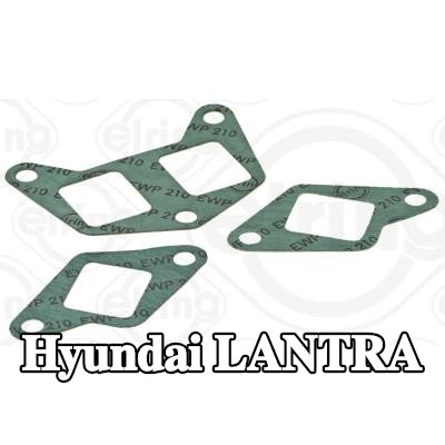 ELRING مجموعة حشيات، مشعب السحب — Hyundai Lantra