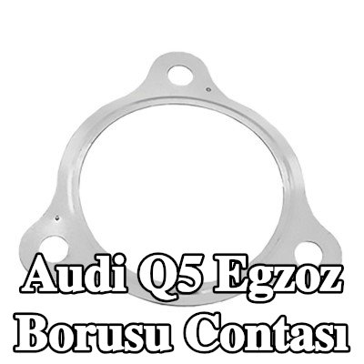 WALKER Egzoz borusu contası — Audi Q5
