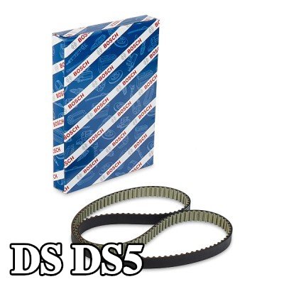 BOSCH عدد أسنان حزام التوقيت: 141, 1343mm — DS Ds5