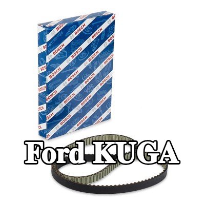 BOSCH عدد أسنان حزام التوقيت: 141, 1343mm — Ford Kuga