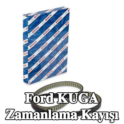 BOSCH Triger Kayışı Diş Sayısı: 141, 1343mm — Ford Kuga