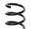 SACHS Helezon yay — BMW 6 Series (3)