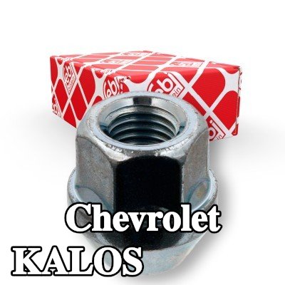 FEBI BILSTEIN صامولة العجلة 19 — Chevrolet Kalos