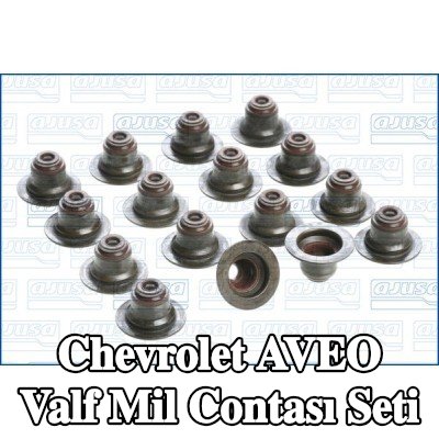 AJUSA Valf mil contası seti — 2003 Chevrolet Aveo