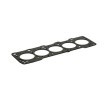 RIDEX Kafa contası 1, 57mm — Volkswagen Lt (2)