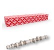 FEBI BILSTEIN Eksantrik Mili — Citroën Ax (1)