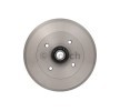 BOSCH Arka aks fren kampanası, 247mm, ABS sensör halkalı, tekerlek yatağı ile — 2002 Peugeot 206 (4)