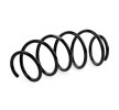 SACHS Helezon yay — 2002 Ford Fiesta (3)