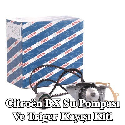 BOSCH Su pompası ve triger kayışı kiti Diş Sayısı: 114, Width: 17mm — Citroën Bx