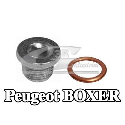 3RG طقم إصلاح، حوض الزيت الرطب — Peugeot Boxer