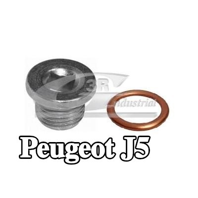 3RG طقم إصلاح، حوض الزيت الرطب — Peugeot J5