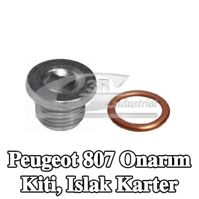 3RG Onarım Kiti, ıslak karter — 2003 Peugeot 807