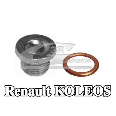 3RG طقم إصلاح، حوض الزيت الرطب — Renault Koleos