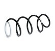 SACHS Helezon yay — 2003 Nissan Micra (2)