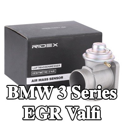 RIDEX Contalı/sızdırmazlık elemanlı EGR valfi — 1995 BMW 3 Series