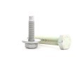 RIDEX Servis kiti — 2002 Peugeot 206 (3)