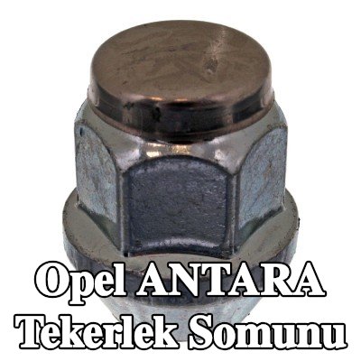 FEBI BILSTEIN Tekerlek Somunu 19 — Opel Antara