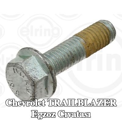 ELRING Egzoz cıvatası — Chevrolet Trailblazer
