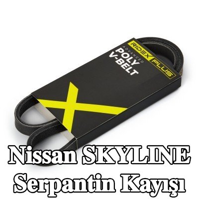 RIDEX PLUS Serpantin kayışı 925mm, Number of ribs: 4 — 1990 Nissan Skyline
