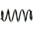 SACHS Helezon yay — Audi A7 (4)