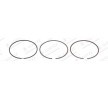 GOETZE ENGINE Piston Segman Kiti — Lexus Ct (1)
