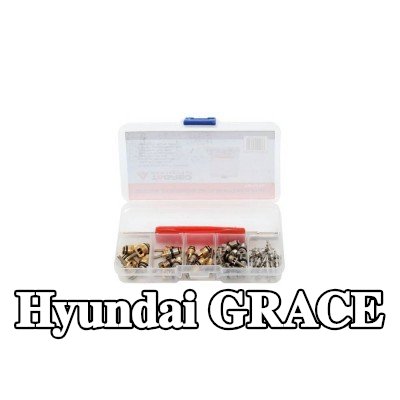 TAGRED صمام تمدد تكييف الهواء — Hyundai Grace