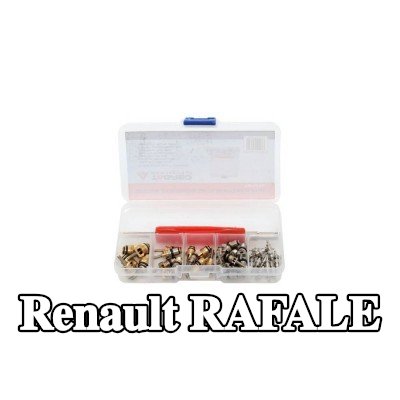 TAGRED صمام تمدد تكييف الهواء — Renault Rafale
