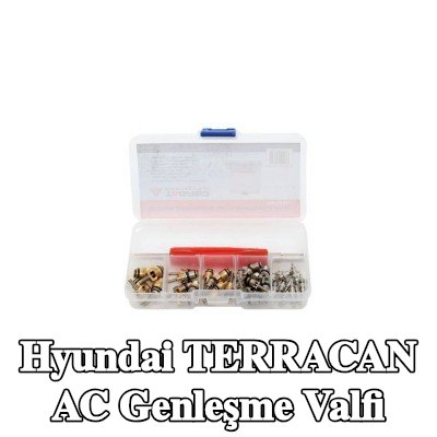 TAGRED AC genleşme valfi — Hyundai Terracan
