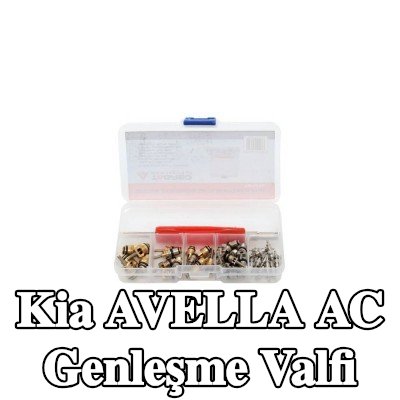 TAGRED AC genleşme valfi — Kia Avella