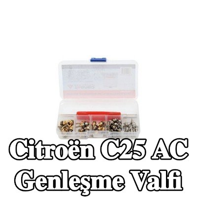 TAGRED AC genleşme valfi — Citroën C25