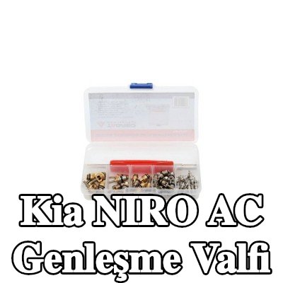 TAGRED AC genleşme valfi — Kia Niro