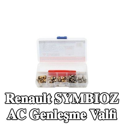 TAGRED AC genleşme valfi — Renault Symbioz