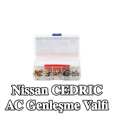 TAGRED AC genleşme valfi — Nissan Cedric