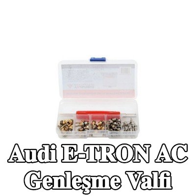 TAGRED AC genleşme valfi — Audi E-tron