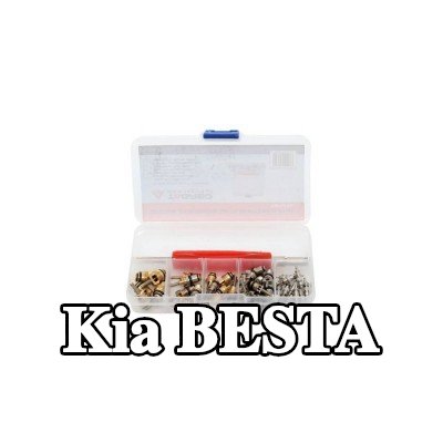 TAGRED صمام تمدد تكييف الهواء — Kia Besta