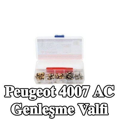 TAGRED AC genleşme valfi — Peugeot 4007