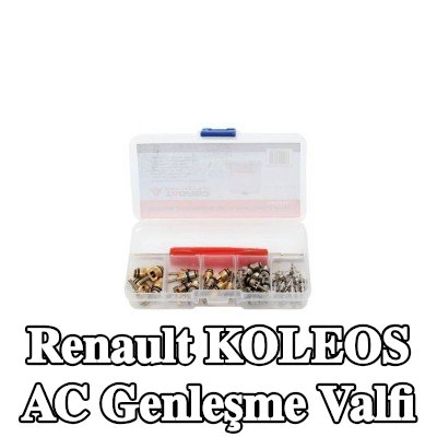 TAGRED AC genleşme valfi — Renault Koleos
