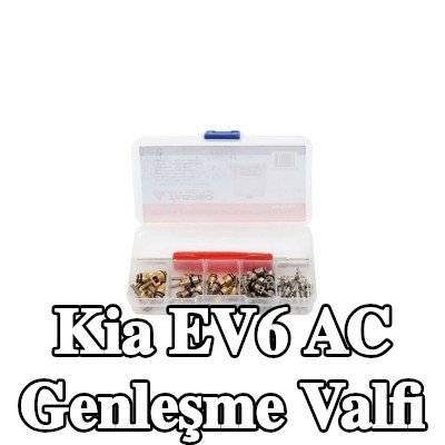 TAGRED AC genleşme valfi — Kia Ev6