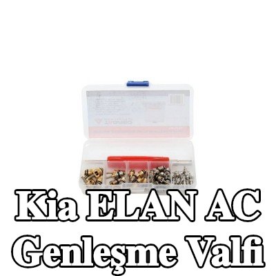 TAGRED AC genleşme valfi — Kia Elan