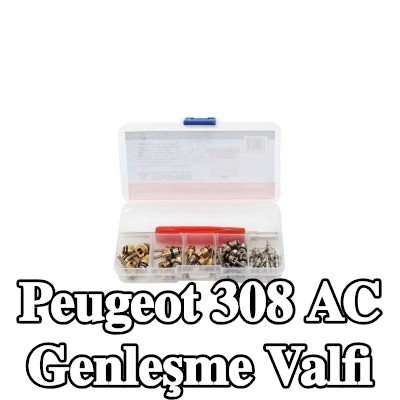 TAGRED AC genleşme valfi — Peugeot 308