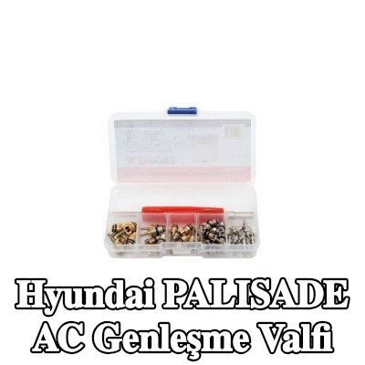 TAGRED AC genleşme valfi — Hyundai Palisade