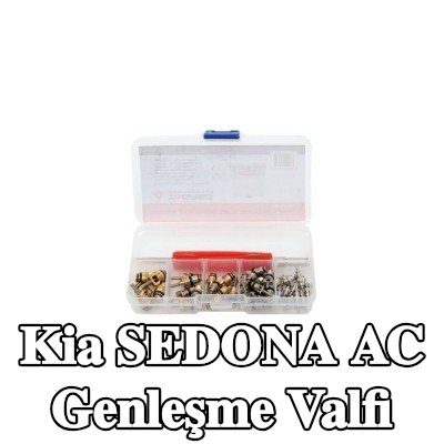 TAGRED AC genleşme valfi — Kia Sedona