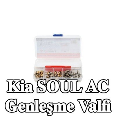 TAGRED AC genleşme valfi — Kia Soul