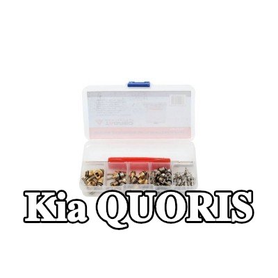 TAGRED صمام تمدد تكييف الهواء — Kia Quoris