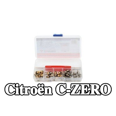 TAGRED صمام تمدد تكييف الهواء — Citroën C-zero
