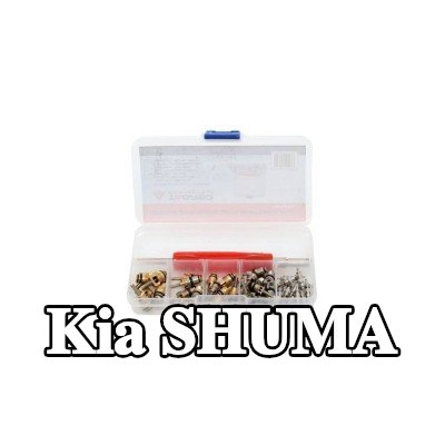 TAGRED صمام تمدد تكييف الهواء — Kia Shuma