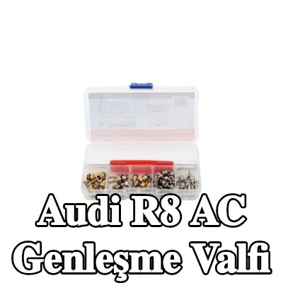 TAGRED AC genleşme valfi — Audi R8
