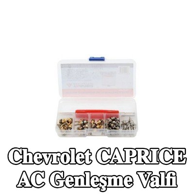TAGRED AC genleşme valfi — Chevrolet Caprice