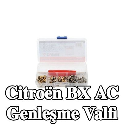 TAGRED AC genleşme valfi — Citroën Bx