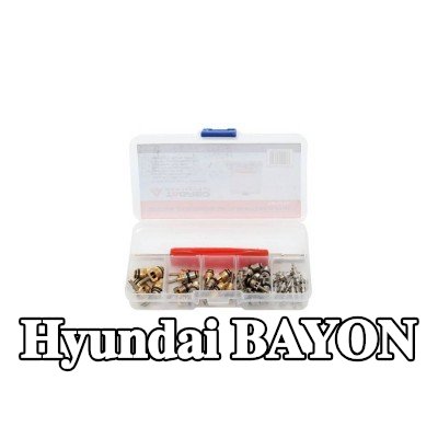 TAGRED صمام تمدد تكييف الهواء — Hyundai Bayon